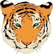 Tiger Cartoon Clip Art N6