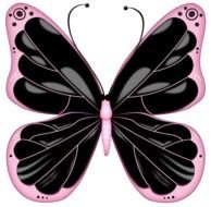 black butterfly on a pink background