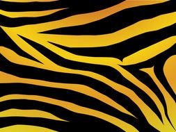 black and orange Tiger Print