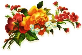 bouquet as a colorful graphic illustration