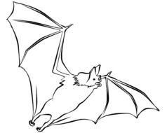 Bat Coloring Page drawing