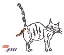 Drawing Of Cat Pooping