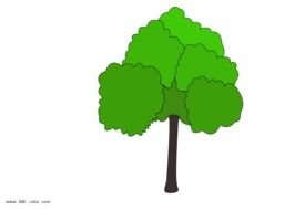 one Tree drawing