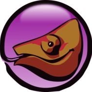 Browser Icon