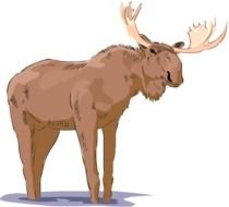 Moose Clip Art N9