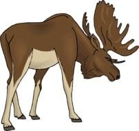 Moose Clip Art N10