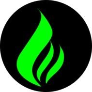 Black With Green Flames