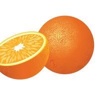 Vector Orange Fruit