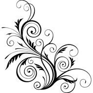 Floral Swirl Design drawing