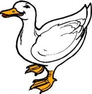 Duck Clip Art N18