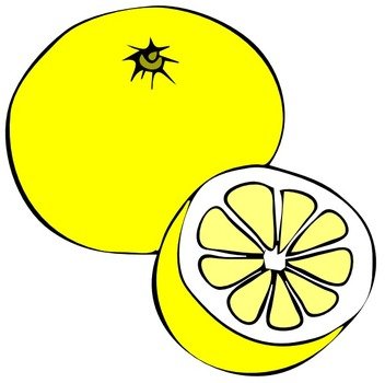 Fruit Clip Art N19