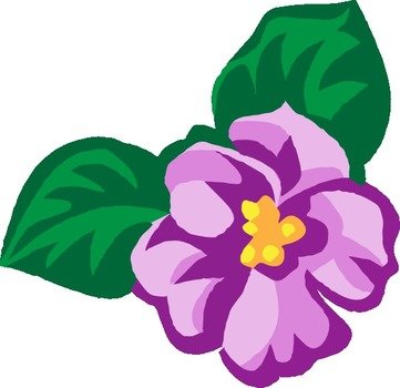 African Violet Clip Art