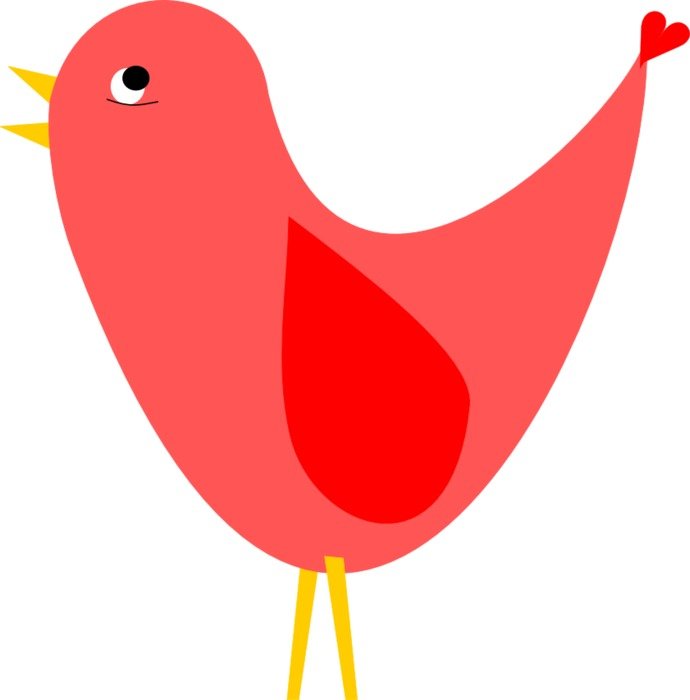 red bird as a graphic image