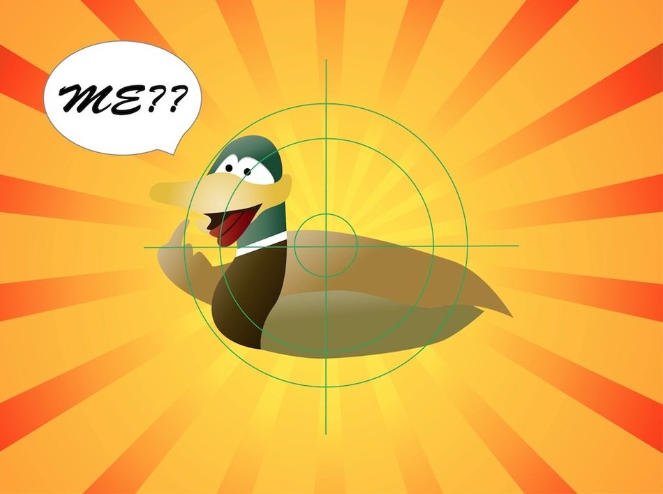 silly duck on a yellow background