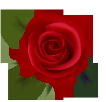 Red Rose Clip Art N6