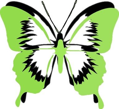 Green Butterfly Clip Art N5