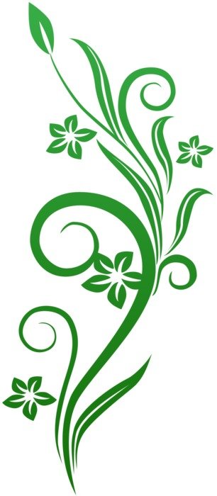 Vine Swirls as an illustration