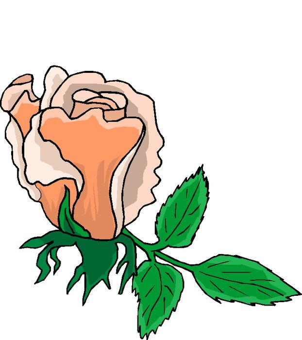 Microsoft Flowers drawing