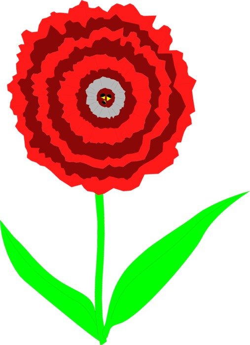 Carnation with the red petals clipart