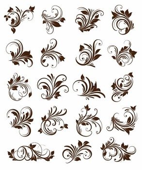 Floral Ornament Vector