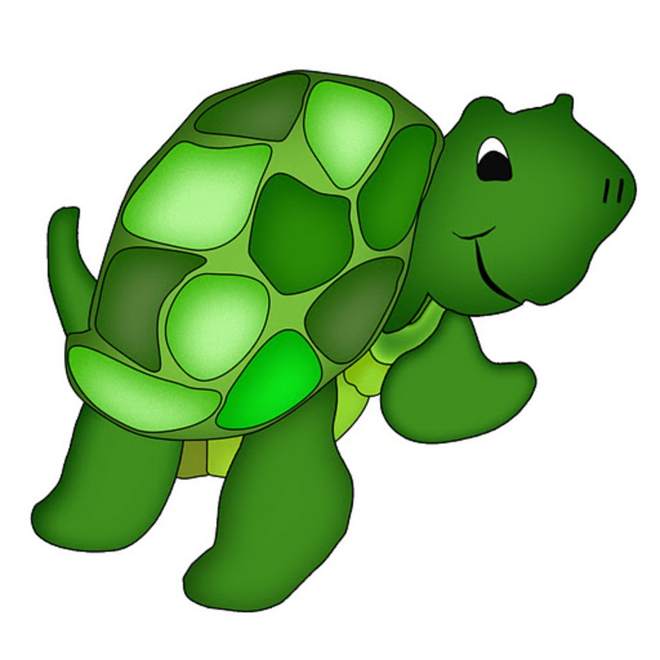 Turtle Clip Art N14