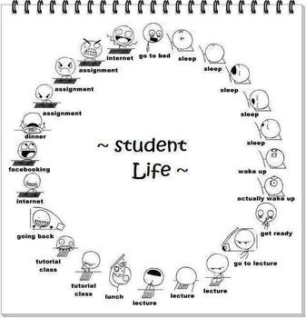 Funny Quotes About School Life