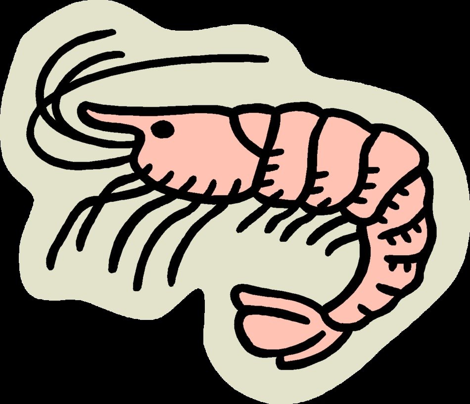 Cartoon Shrimp Clip Art darwing