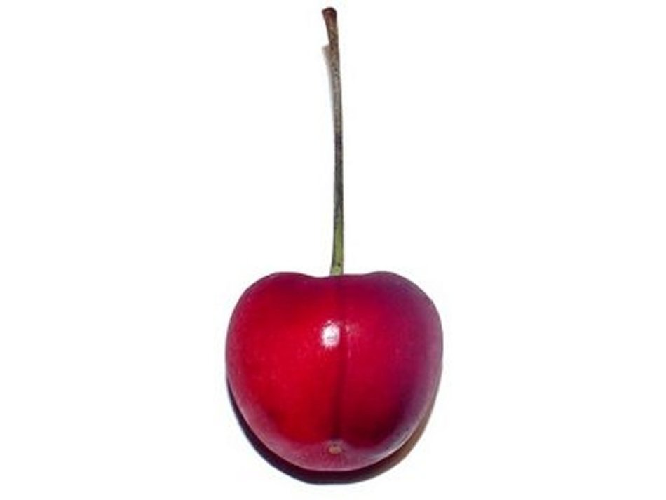 red Cherrie drawing