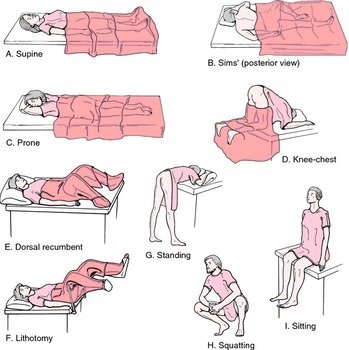 Fowlers Position