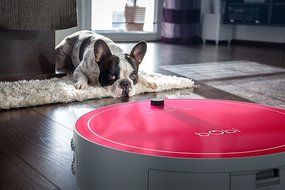 bObi Pet Robotic Vacuum Cleaner, Silver N3