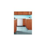 Summit FF6BBISSTBADA 5.5 cu. ft. All-Refrigerator With Automatic Defrost Hidden Evaporator Adjustable Shelves... N4