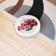 Infinuvo CleanMate QQ6 Robotic Vacuum Cleaner with HEPA Filter