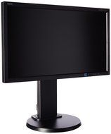 NEC Desktop E203WI-BK 20&quot; Screen LCD Monitor N3