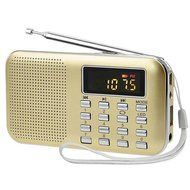 iMinker Mini Portable Digital AM/FM Radio Media Speaker MP3 Music Player Support TF Card/USB Port with LED Screen... N2