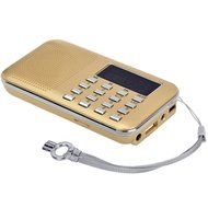 iMinker Mini Portable Digital AM/FM Radio Media Speaker MP3 Music Player Support TF Card/USB Port with LED Screen... N3