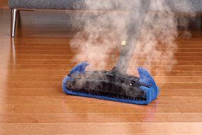 Dupray Hill Injection Commercial Steam Cleaner