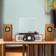 1byone Belt-Drive 3-Speed Stereo Turntable with Built in Speakers, Supports Vinyl to MP3 Recording, USB MP3 Playback...