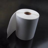 24 ROLLS 6000 LABELS 4x6 ZEBRA ELTRON 2844 DIRECT THERMAL 4"x 6"-250PCS/ROLL N3