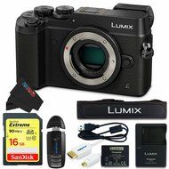 Panasonic DMC-GX8 (SLK3) Lumix Digital Camera Bundle (Silver) N5