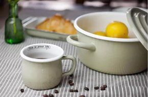 Finex Kitchen Premium Porcelain Enameled Steel Collection - Life Series (Blue) - Loaf Pan Roasting Casserole pan N5