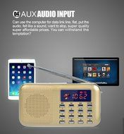 TimornTM Fashion Stereo Sound FM Radio Support TF Card / USB Disk with LED Screen Display Suitable for Mobile... N16