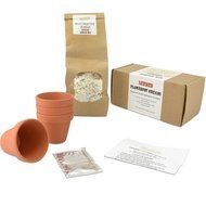 Flowerpot Bread Making Kit Christmas Xmas Holiday Present