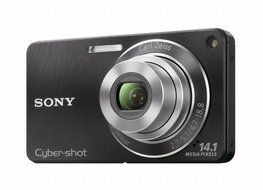 Sony DSC-W350 14.1MP Digital Camera with 4x Wide Angle Zoom with Optical Steady Shot Image Stabilization and 2.7... N7