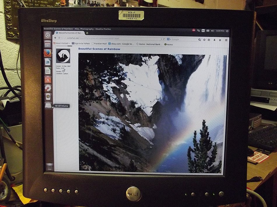 Dell 1702FP 17 inch LCD Computer Monitor Screen AC DVI N2
