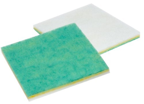 Hoover Allergen Final Filter (2-Pack), 40110003