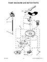 W10671942 - Whirlpool - PUMP&MOTOR
