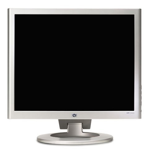 HP 19" LCD Monitor