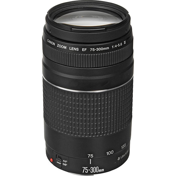 Canon T5i Camera Bundle with Canon EF-S 18-135mm f/3.5-5.6 IS STM Lens + Canon EF 75-300mm f/4-5.6 III Lens +... N2