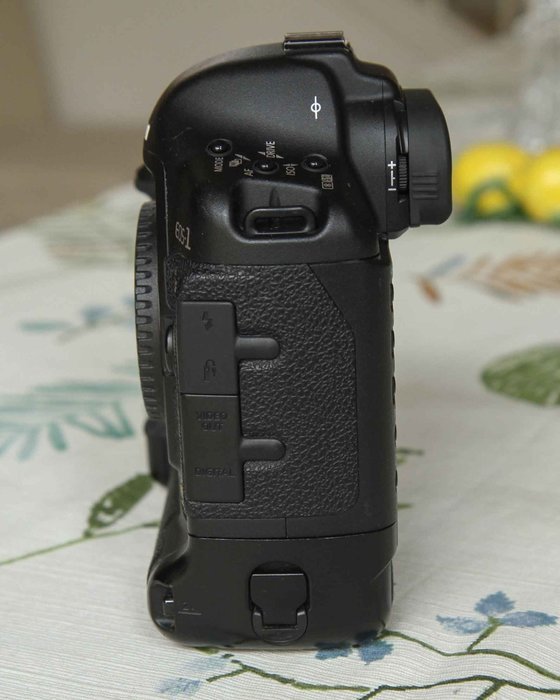 Canon EOS 1Ds Mark II 16.7MP Digital SLR Camera (Body Only) N2 free