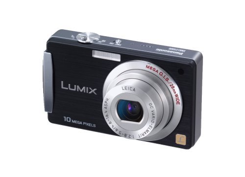 Panasonic Lumix DMC-FX500S 10.1MP Digital Camera with 5x Wide Angle MEGA Optical Image Stabilized Zoom (Silver)